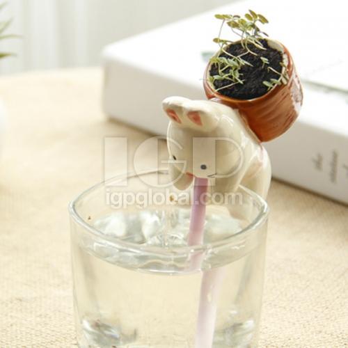 动物吸水透明杯子小盆栽